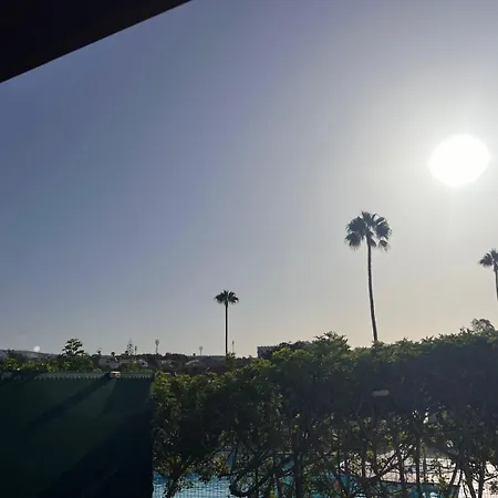 Sunrise Palomas